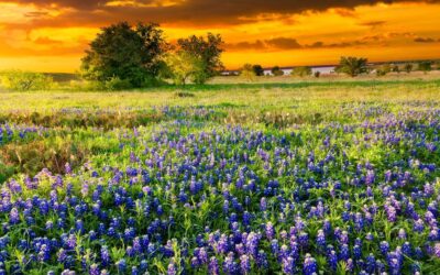 Moving to Boerne, Texas | A Guide for Families