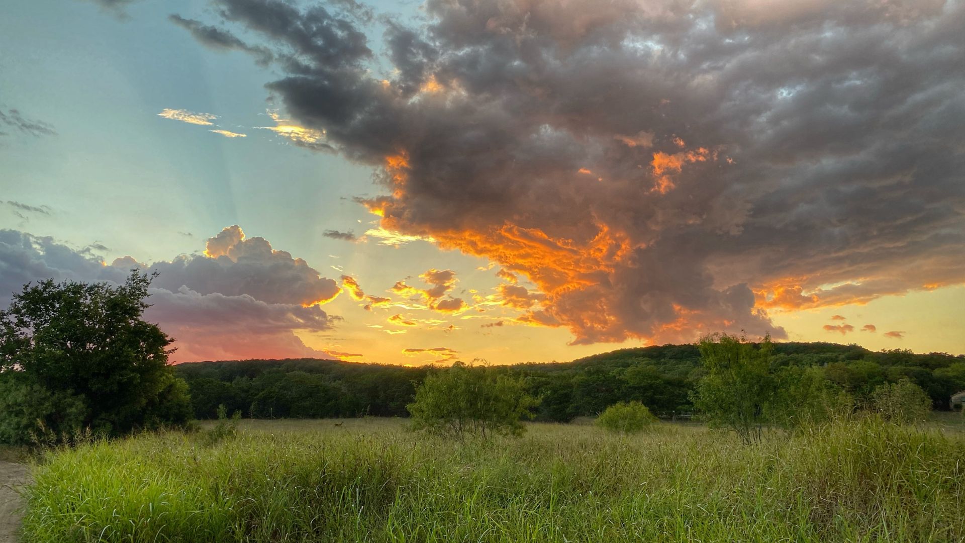 land, lots and acreage for sale in boerne, texas - Tammy Dominguez San Antonio realtor & relocation specialist